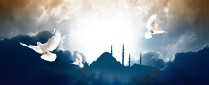 fethullah gulen kargasadan nizama ca9