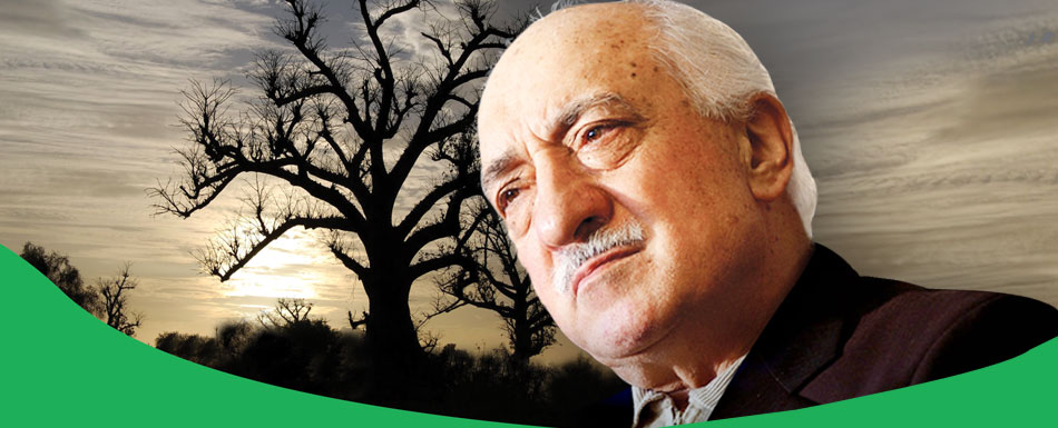 Conference on Gülen movement to take place in Senegal