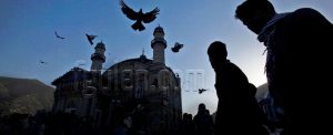 peygamberler yolu ve dirilis neslinin iki ozelligi 911