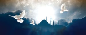 uc aylar beraat gecesi f90