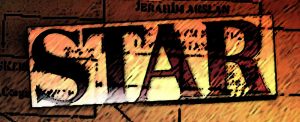 star yazarinin hakaretleri yargida 234
