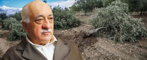 fethullah gulen hocaefendinin agaca karsi hassasiyeti 91a