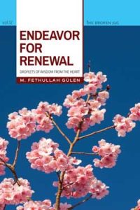 endeavor for renewal d1b