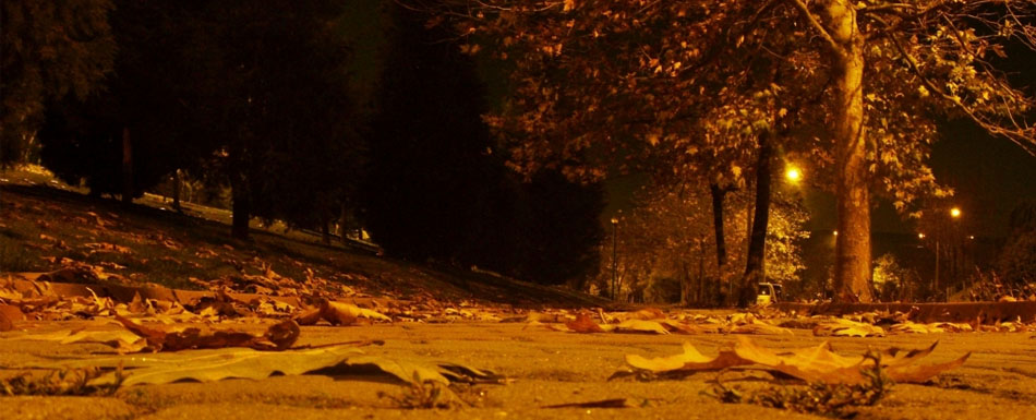 The Season Is Not Autumn