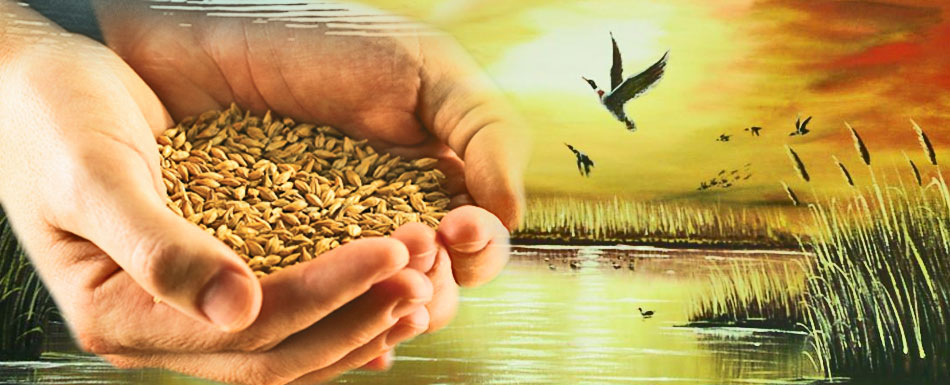 روح الإيثار