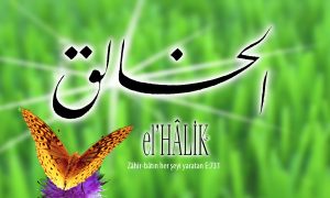 11 halik