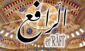 23b rafi