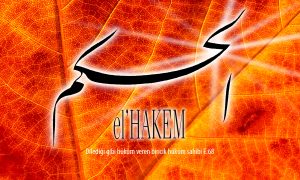 28 hakem 1