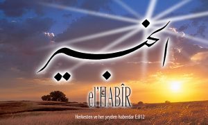 31 habir