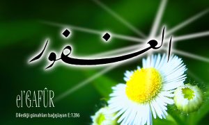 34b gafur