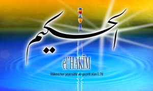 46 hakim 1