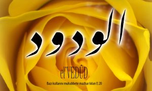 47 vedud 1
