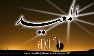 59 muid