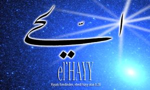 62 hayy