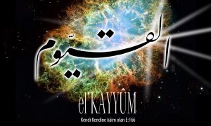63 kayyum