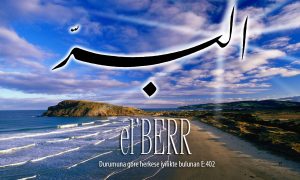 79 berr