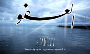 82 afuvv