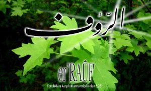 83 rauf