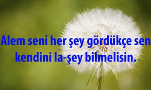 Alem seni hersey