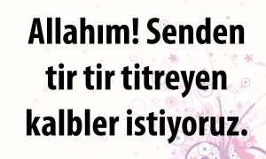 Allahim Senden tir tir 1