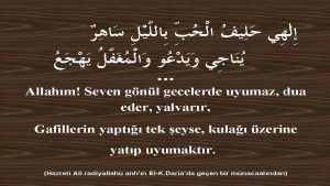 Allahim Seven 1