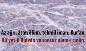 Az Agri Asan Olum
