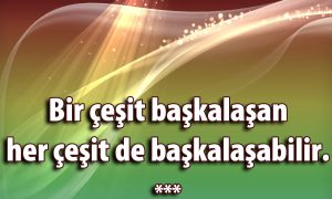 Bir Cesit