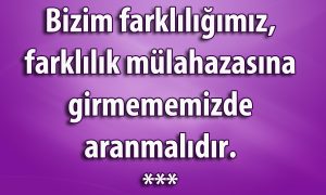 Bizim