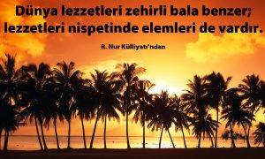 Dunya Lezzetleri