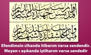Efendimsin