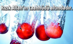 Errizku Alallahi 1