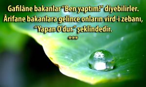 Gafilane bakanlar 1