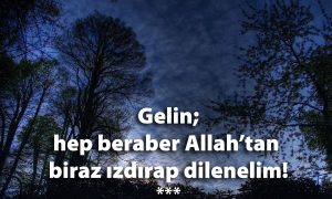 Gelin hep beraber 1