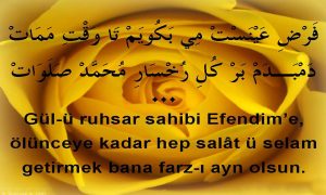 Gul u Ruhsar