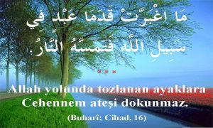 Hadis 57 Allah Yolunda Cihad