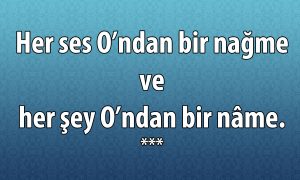 Her Ses Ondan