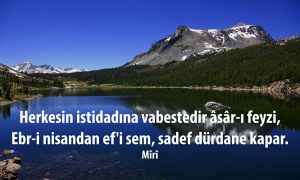 Herkesin istidadina vabestedir