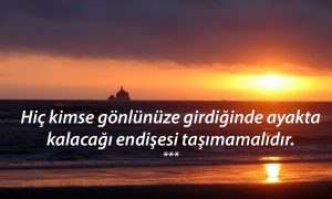 Hic Kimse Gonlunuze 1