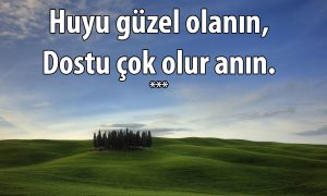 Huyu Guzel 1