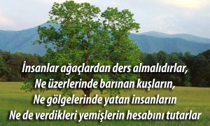 Insanlar Agaclardan 1