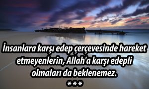 Insanlara karsi
