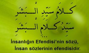 Insanligin Efendisinin