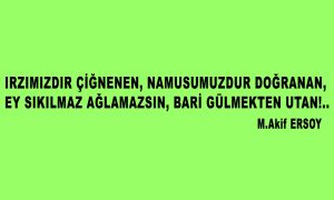 Irzimizdir cignene namusumuzdur 1