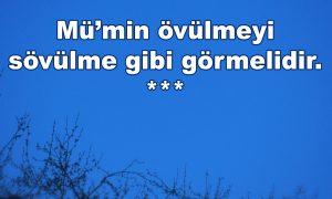 Mumin ovul