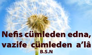Nefis cumleden