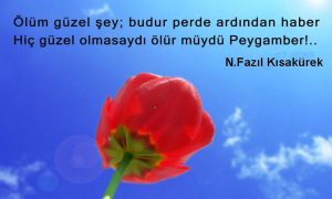 Olum Guzel