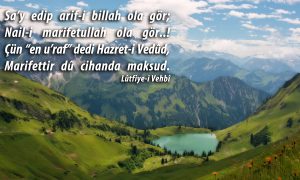 Say edip 1