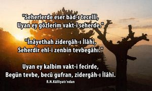 Seherlerde 1