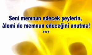 Seni Memnun 1