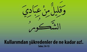 Sukredenler Pek Azdir 1